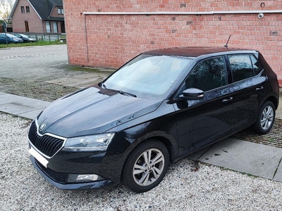 Skoda Fabia 1.0 TSI Nieuwe Staat