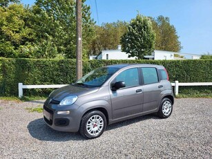 Fiat Panda Garantie 1 an seulement 51000km