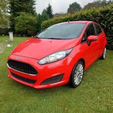 Ford fiesta bj07/2013, 110000km's, GEKEURD!