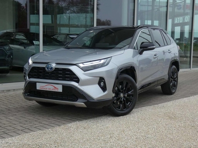 Toyota RAV4 Hybrid *AWD 4X4* LEDER 360VIEW TREKHAAK