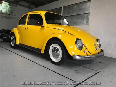 Volkswagen California Käfer Coccinelle * LooK*Prête à Rouler*