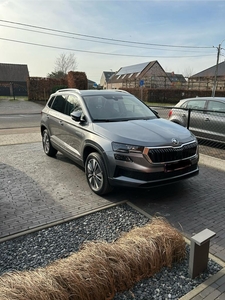 SKODA KAROQ 1.5TSI DSG CLEVER+ VEEL OPTIES