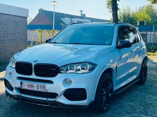 Bmw X5 M performance 313 M geleid Xdrive