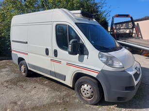 Peugeot Boxer Frigo KOPPELING DEFECT export (3000+btw)