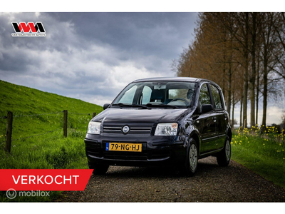 Fiat Panda 1.2 Dynamic | VERKOCHT !