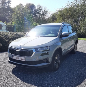 Skoda Karoq clever 1,5TSI 150PK DSG-7 Steel grey bj2023