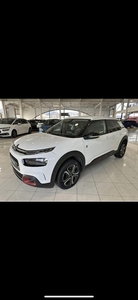 Citron c4 cactus