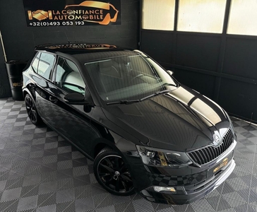 Skoda Fabia 1.0TSI Monte Carlo 1e propgarantie 12 maanden