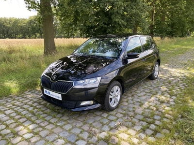 SKODA FABIA 1.0 BENZINE 110 PK