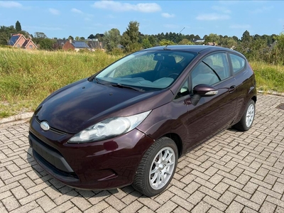 Ford Fiesta/1,4Benzine/136.000Km/2009/Euro4/Carnet