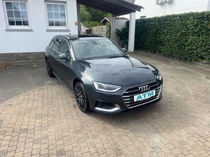 Audi A4 30 TDi Business Edition S line tronic/Navi/Panodak