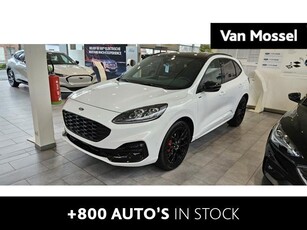 Ford Kuga ST-Line X BLACK PACKAGE - Camera - Winterpack