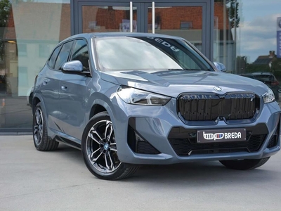 BMW X1 iX1 xDrive30 M-Sport/360/LED/HUD/Pano/19