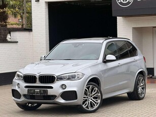 BMW X5 2.0 dAS xDrive25/PROBLEMEN MET ROETFILTER(DPF) 