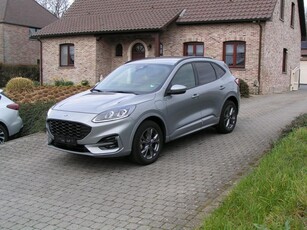 Ford kuga 1.5 TDCi, diesel, ST-Line X, '2021,...