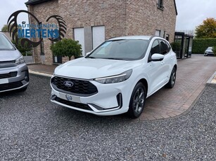 Ford Kuga NEW MODEL 1.5 ST-Line X 186PK AUTOMAAT NIEUW 0KM