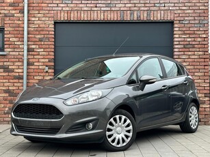 Ford Fiesta 2016 Benzine roos formulier