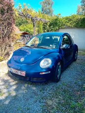 New beetle