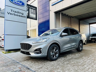 Ford Kuga 1.5 EcoBoost / ST-Line X / Winter Pack / All seas