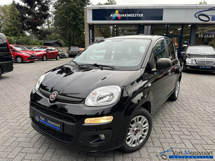 Fiat Panda 1.2 Edizione Cool 54dKM!1eEig|Airco|Allseason