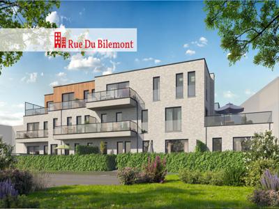 12 appartementen