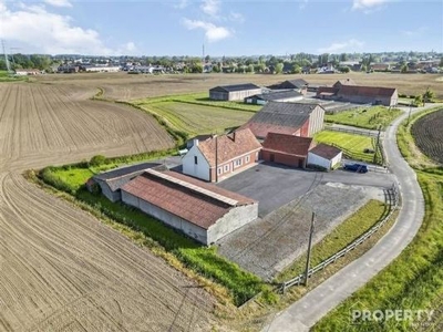 Te renoveren hoeve op 5504m2!