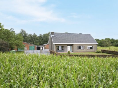 UNIEKE LOCATIE - 1HA AAN HET SCHIPDONKKANAAL