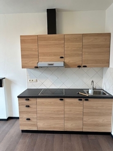 Volledig gerenoveerde duplex 1-slp k app, 720 + 200