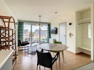 Te huur, lichtrijke studio/appartement vlakbij centrum Gent