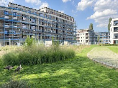 Rue de sedent 44, 5000 Namen, Namur