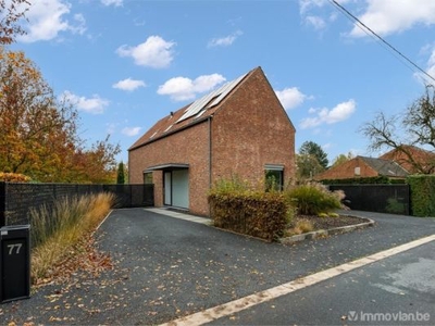 Hoogstraat 77, 2860 Onze-Lieve-Vrouw-Waver, Sint-Katelijne-Waver