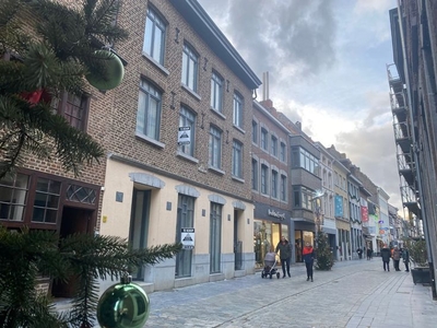 Burgerhuis 'Den Golden Naegel' - aan de Markt - lift - over