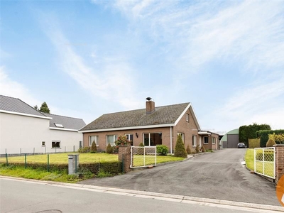 Nieuwbouw huis te koop in Wetteren