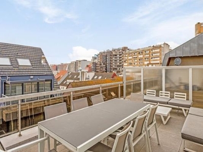 Ruim vakantie - appartement met zeer groot zonneterras te...