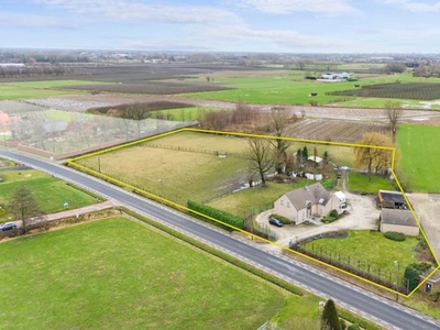 Prachtige villa met veel weiden voor paarden in Sint-Gillis