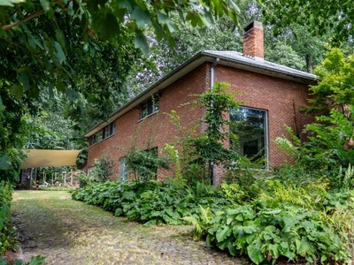 Modernistische en energiezuinige villa in het groen