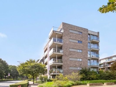 Ruim en energiezuinig gelijkvloers appartement op wandela...