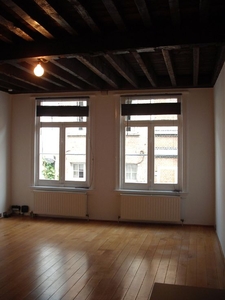 Appartement / studio in hartje Antwerpen