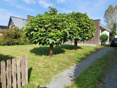 landelijk wonen-bungalow