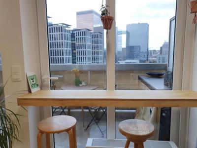 Studio 31m² met geweldig uitzicht over Brussel (11e etage)