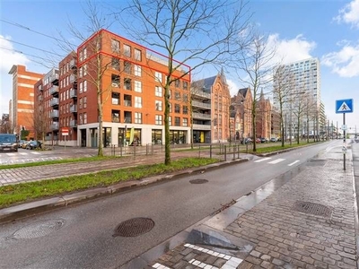 Riante penthouse (137m²) met twee slaapkamers en dakterrasse