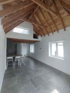 Nieuw gerenoveerd duplex appartement