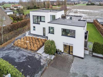 Handelspanden met woonst op 1.443m² te koop in Anzegem