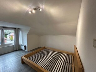 Gerenoveerd studio-appartement in Leuven!