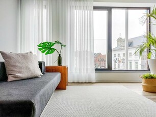 Nieuwbouwappartement te huur in centrum Zottegem