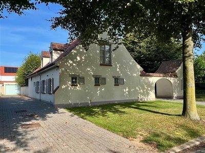 TOPGELEGEN VILLA met PRAKTIJK, ZWEMBAD & SAUNA, GARAGE en ha