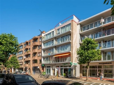 Gezellig 1slaapkamer appartement nabij station en centrum