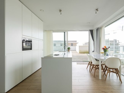 Gloednieuw energiezuinig penthouse met royaal terras van 13