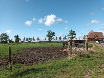 Ruime landelijke woning en bijgebouwen met minstens 2,4 ha (