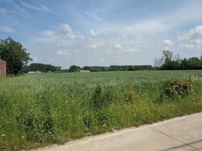 Te koop te slopen woning/te renoveren woning op 1,46 hectare